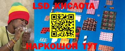 спиды Донской