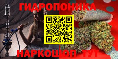 спиды Донской