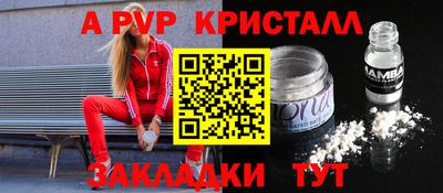 спиды Донской