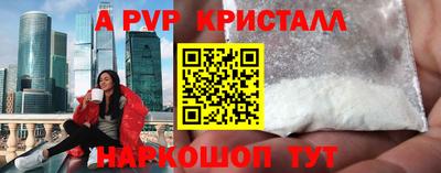спиды Донской