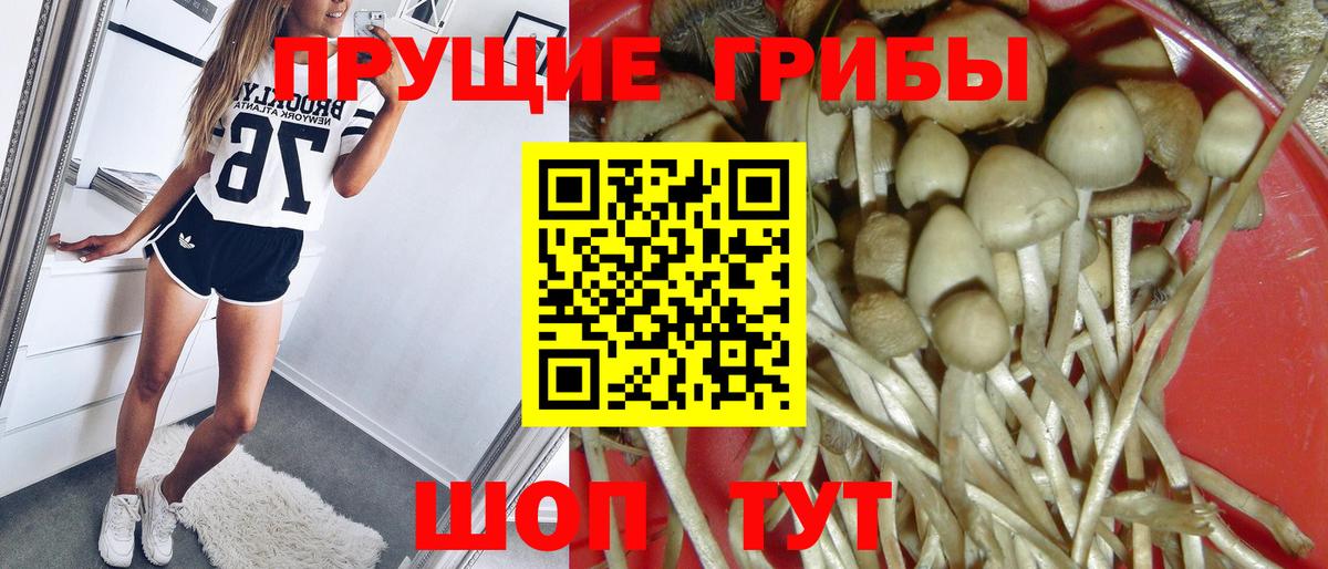 Псилоцибиновые грибы MAGIC MUSHROOMS Кизилюрт
